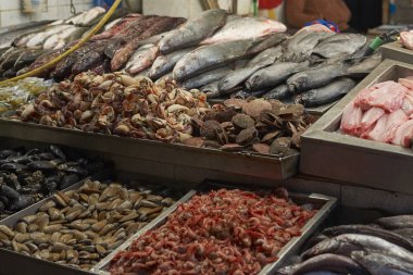 Santiago, Şili - 24 Temmuz 2014: Taze deniz ürünleri, Santiago, Şili'nin başkenti merkezinde tarihi ana balık pazarında Satılık