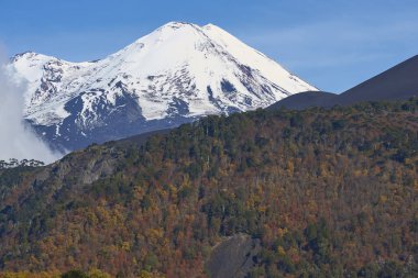 Snow capped peak of Volcano Llaima (3125 meters) rising above the lava fields and forests of Conguillio National Park in the Araucania region of southern Chile clipart