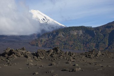 Kar pik, yanardağ lav alanları ve ormanları güney Şili Araucania bölgesinin Conguillio Milli Parkı, yukarıda yükselen Llaima (3125 metre) şapkalı