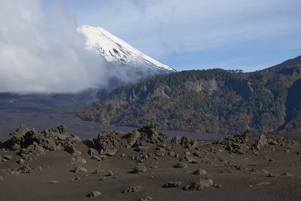 Snow Capped Peak Volcano Llaima 3125 Meters Rising Lava Fields — Stock Photo, Image