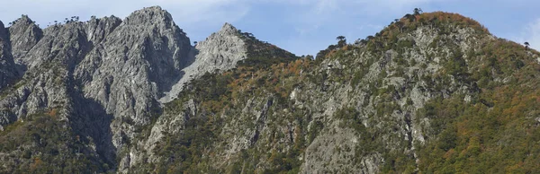 Otoño Parque Nacional Conguillio Sur Chile Árboles Follaje Otoñal Primer —  Fotos de Stock