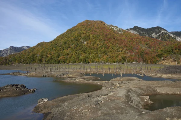 Podzimní Barvy Zalesněné Stráně Okolních Laguna Verde Conguillio Národním Parku — Stock fotografie