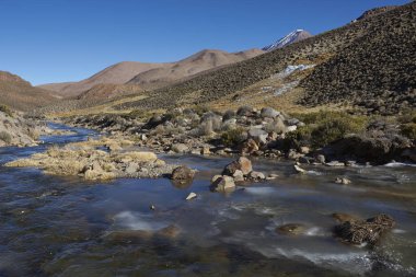 Frozen pools in a wetland along a tributary of the River Lauca high on the Altiplano of northern Chile in Lauca National Park. clipart