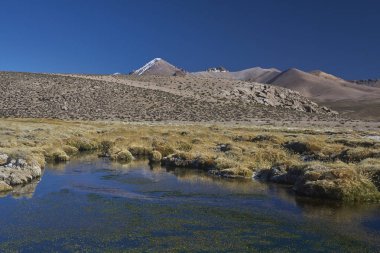 Frozen pools in a wetland along a tributary of the River Lauca high on the Altiplano of northern Chile in Lauca National Park. clipart