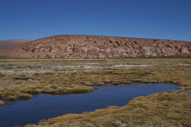 Wetland along a tributary of the River Lauca high on the Altiplano of northern Chile in Lauca National Park. clipart