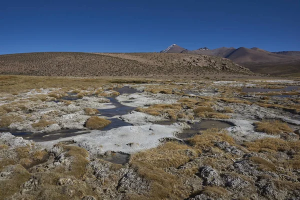 Zmrazené Bazény Mokřadu Podél Řeky Lauca Vysoko Altiplano Severního Chile — Stock fotografie