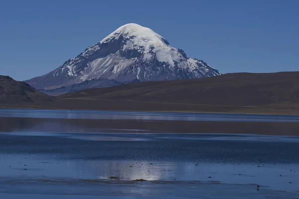 Pics Enneigés Paysage Accidenté Altiplano Environ 4000 Mètres Dessus Niveau — Photo