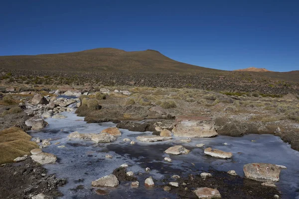 Zmrazené Bazény Mokřadu Podél Řeky Lauca Vysoko Altiplano Severního Chile — Stock fotografie