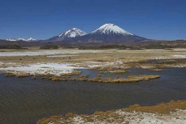 Wulkany Parinacota Pomerape Lauca Parku Narodowego Wysokie Altiplano Północnym Chile — Zdjęcie stockowe