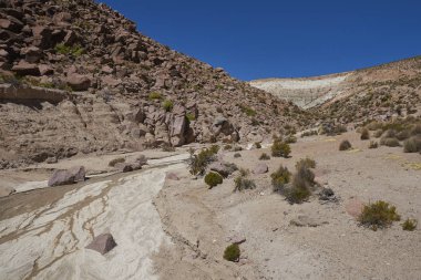 Aşınmış kaya oluşumları Quebrada Chuba, yüksek Dağları kuzey Şili Lauca Millî Parkı'nda bir Nehri Vadisi boyunca.