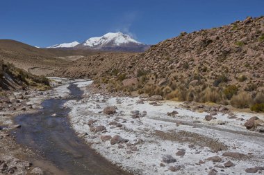 Meandering path of the River Chuba on the Altiplano of northern Chile in Lauca National Park. Snow capped peak of Volcano Guallatiri in the distance. clipart