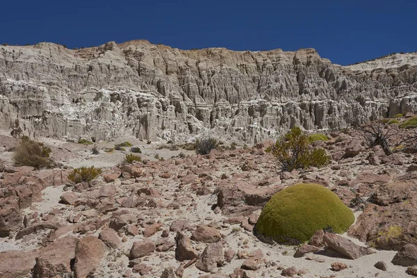 侵蚀的岩层沿拉科夫达除疤 高拉乌卡国家公园在智利北部高原的河谷 — 图库照片