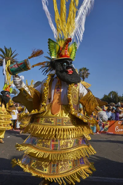 Arica, Chile - 24 Ocak 2016: Con Morenada dansçılar yıllık Carnaval Andino gerçekleştirme geleneksel and kostüm la Fuerza del Sol Arica, Chile.