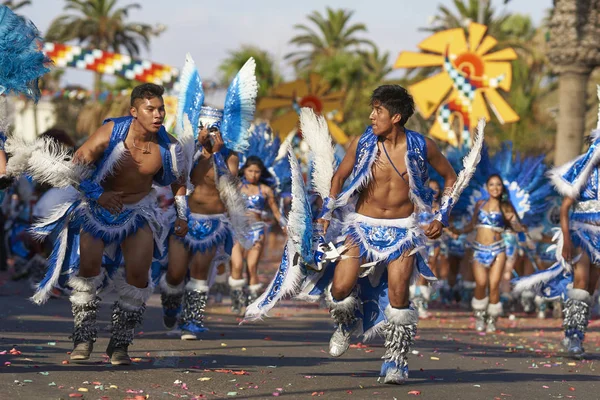 智利阿里卡 2016年1月24日 托巴斯舞者身着传统安第斯服装在智利阿里卡一年一度的狂欢节安迪诺 Con Fuerza Del Sol — 图库照片