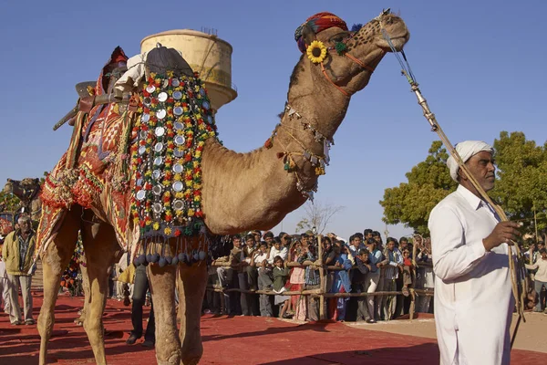 Nagaur Rajasthan India Februari 2008 Camel Versierd Het Jaarlijkse Vee — Stockfoto