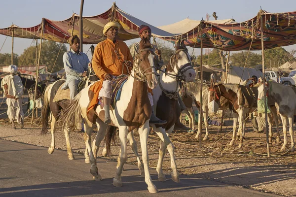 Nagaur Rajasthan Índia Fevereiro 2008 Homens Montando Cavalos Longo Uma — Fotografia de Stock