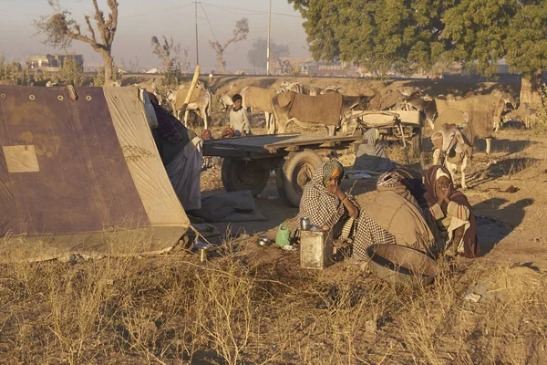 Nagaur Rajasthan India February 2008 Preparing Food Warming Cold Night — Stock Photo, Image