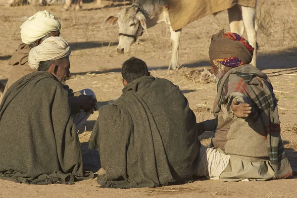 Nagaur Rajasthan Indien Februari 2008 Förbereda Mat Och Tillkoppling Upp — Stockfoto