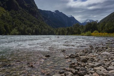 Nehir Futaleufu güney Şili bölgesinde ormanlık bir vadi ve bahar çiçekleri akan. Nehir beyaz su rafting için dünyanın önde gelen yerlerinden biri olarak ünlüdür.