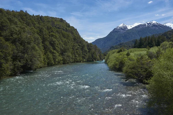 Río Espolón Que Fluye Través Valle Arbolado Patagonia Sur Chile — Foto de Stock