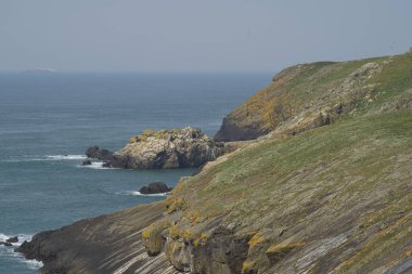 Galler Pembrokeshire kıyılarında Skomer Adası'nda Bahar, İngiltere.
