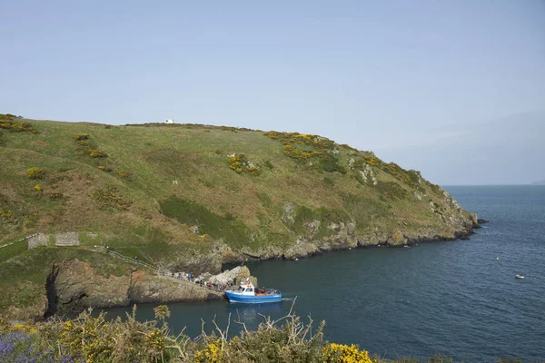 Мартинс Хавен Martins Haven Пемброкшир Pembrokeshire Уэльс Апреля 2019 Года — стоковое фото