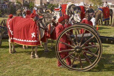 Jaipur, Rajasthan, Hindistan-21 Mart, 2008: Jaipur 'da yıllık fil Festivali, Rajasthan başkenti dekore filler ve Bahts geçit töreni.