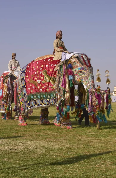 Jaipur Rajasthan India Marzo 2008 Sfilata Elefanti Mahouts Decorati Festival — Foto Stock