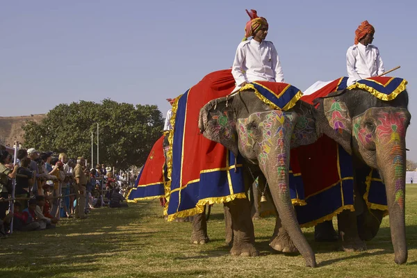 Jaipur Rajasthan Índia Março 2008 Elefantes Mahouts Decorados Desfilam Festival — Fotografia de Stock