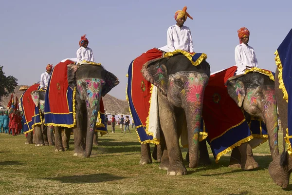 Jaipur Rajasthan India March 2008 Decorated Elephants Mahouts Parade Annual — Stock Photo, Image