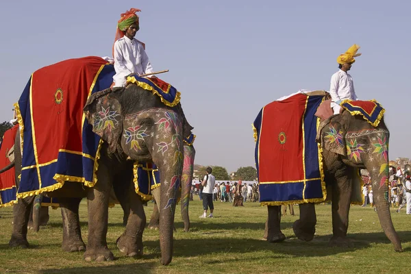 Jaipur Rajasthan Índia Março 2008 Elefantes Mahouts Decorados Desfilam Festival — Fotografia de Stock