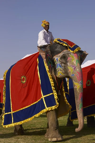 Jaipur Rajasthan India März 2008 Parade Geschmückter Elefanten Und Mahouts — Stockfoto