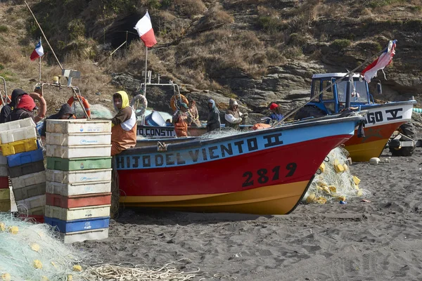 Pellines Cile Aprile 2015 Barche Pesca Colorate Sulla Spiaggia Nel — Foto Stock