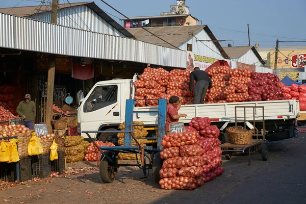 Santiago Chile April 2014 Unloading Sacks Onions Central Fruit Vegetable — Stock Photo, Image