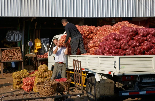 Santiago Chile Kwiecień 2014 Rozładunek Worków Cebuli Rynku Owoców Warzyw — Zdjęcie stockowe