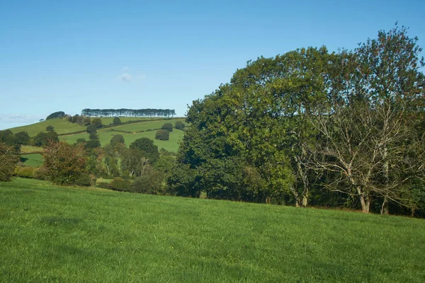 Lush Green Fields Woolley Valley Área Outstanding Natural Beauty Cotswolds — Foto de Stock