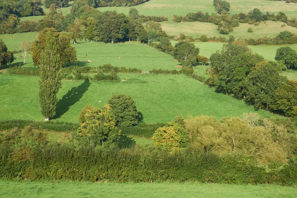 イギリス イングランド バース郊外のコッツウォルズの優れた自然の美しさのエリアであるウールリー渓谷の緑豊かなフィールド — ストック写真