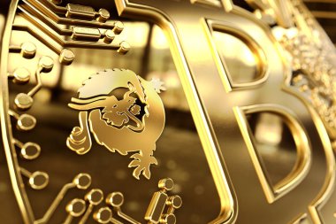 Kavramsal Bitcoin Satoshi Vision sikke (Bitcoin Sv veya Bsv) Dragon Logo üzerinde çekim kapatın. 3d render