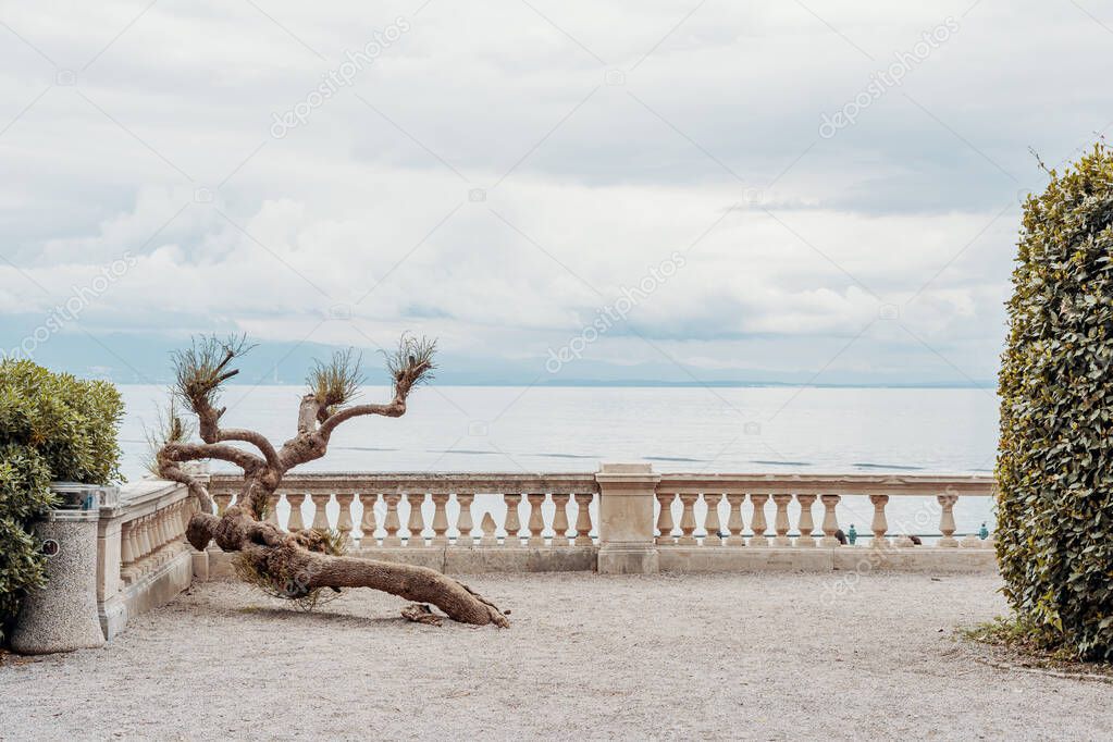 Viewpoint (with a balcony and a dry plant) with wide view to the bay of Rijeka on the Adriatic Sea. Opatija, Croatia, Europe. No people with copy space above