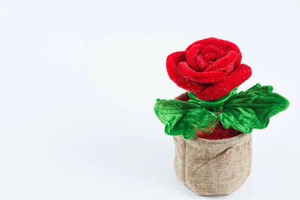 Red roses in a bag with a white background isolate
