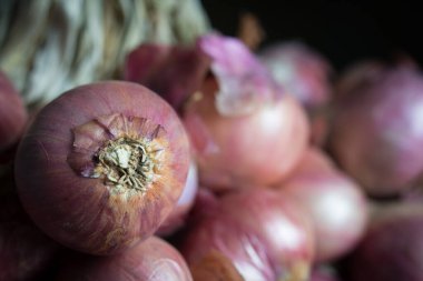 Kopya alanı olan ahşap masa üzerindeki soğanlar, Gölge konsepti