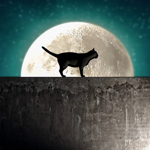 Silueta Gato Negro Una Pared Hormigón Ilustración —  Fotos de Stock