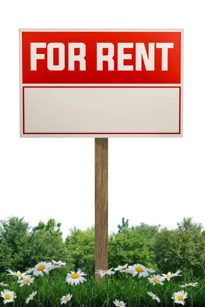 Rent Sign Isolated White Background Illustration — Stock Photo, Image