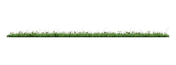 Gras Geïsoleerd Een Witte Achtergrond Illustratie — Stockfoto