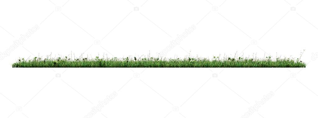 grass isolated on white background 3d illustration