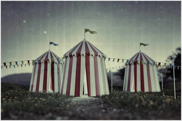 Cirkusové Stany Zelené Louce Obrázek — Stock fotografie