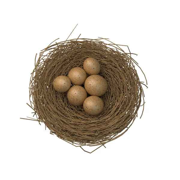 Nest met eieren geïsoleerd op wit — Stockfoto
