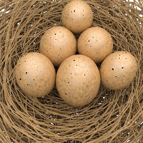 Nest mit Eiern isoliert auf weiß — Stockfoto