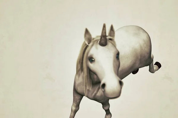 Unicornio aislado sobre blanco —  Fotos de Stock