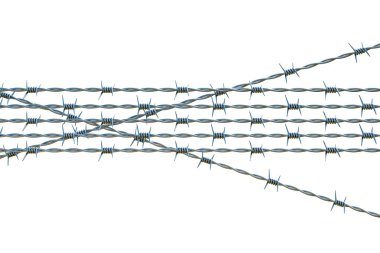 Champ de maïs à la récolte